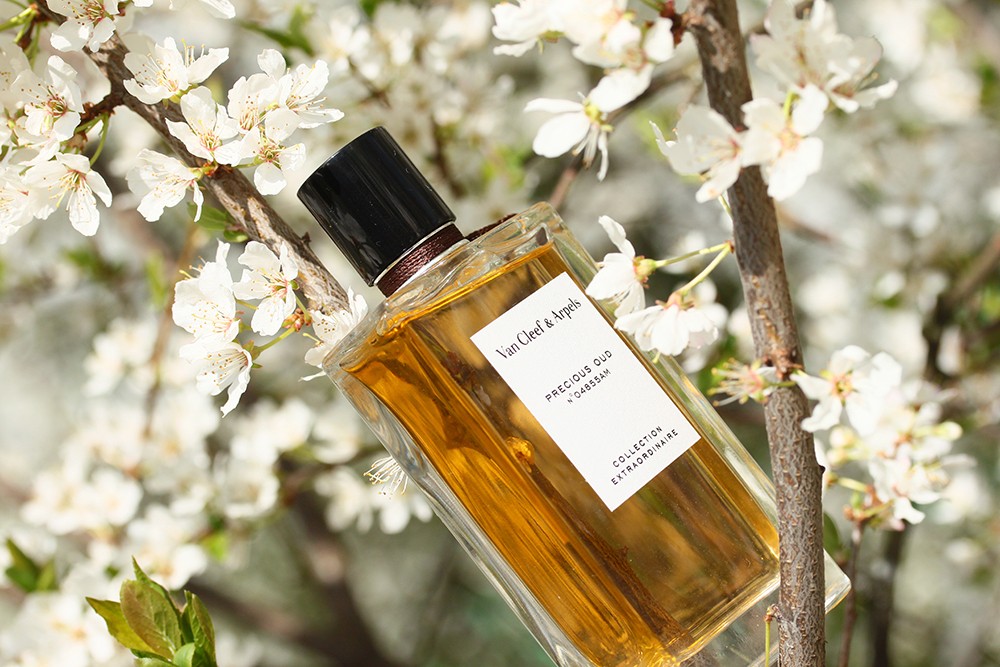 عطر بريسيوس عود من فان كليف اند اربلز واحة عطر